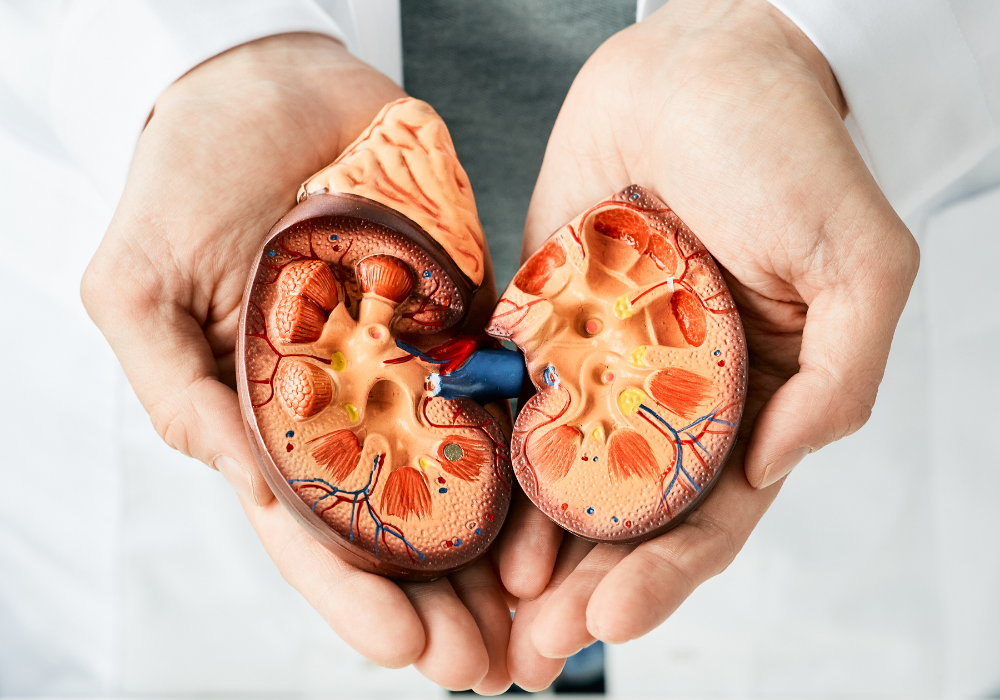 Imagem site Dra. Anastácio