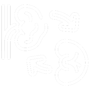 Imagem site Dra. Anastácio