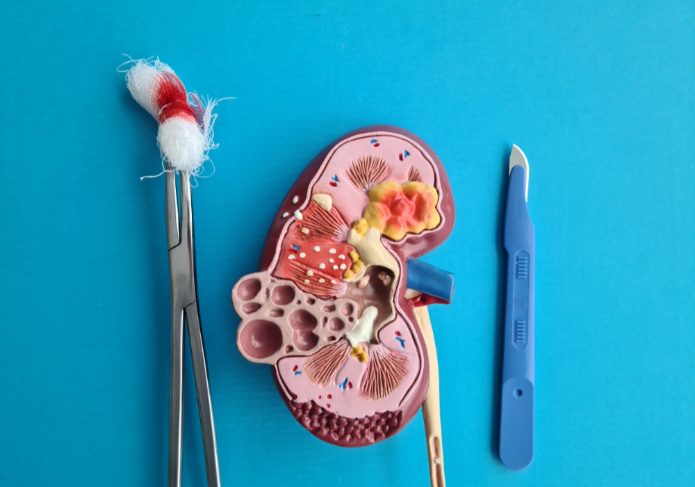 Imagem site Dra. Anastácio