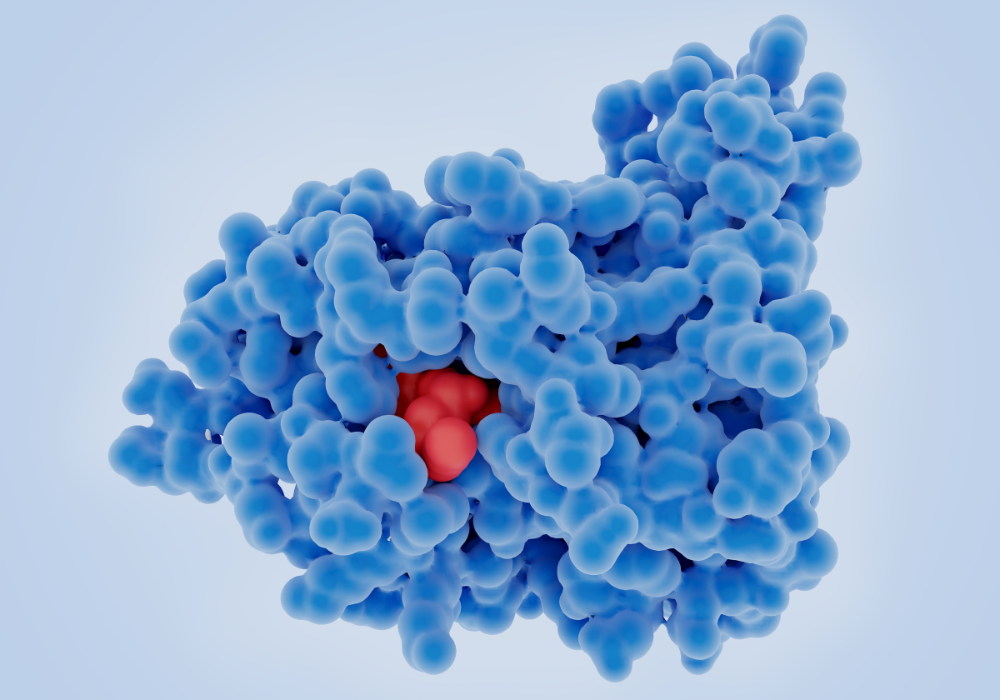 Imagem site Dra. Anastácio