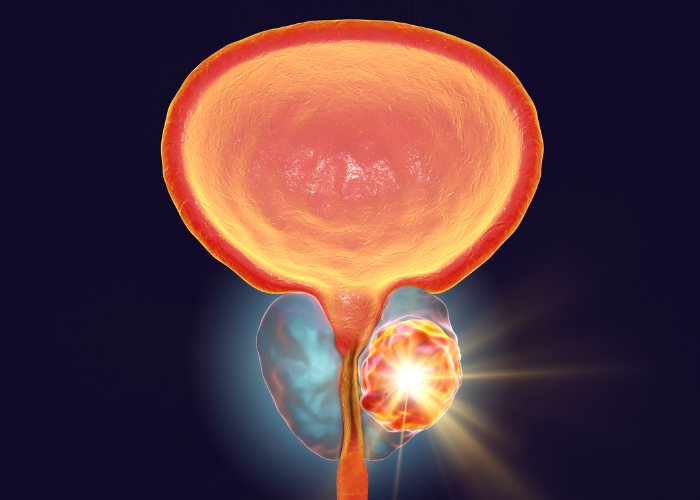 Imagem site Dra. Anastácio