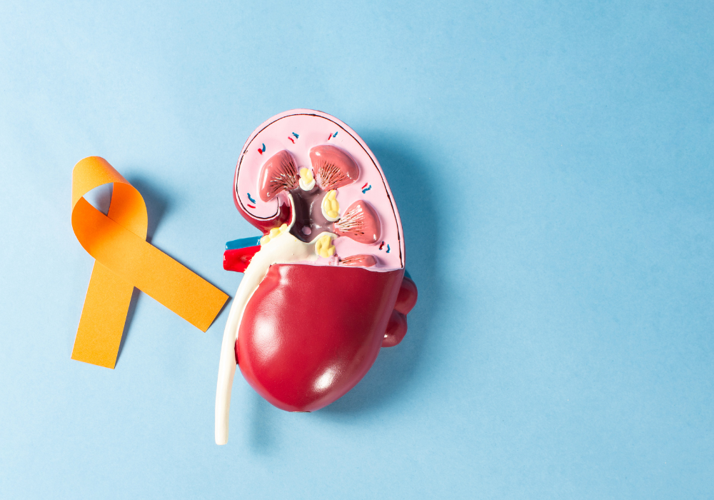 Imagem site Dra. Anastácio