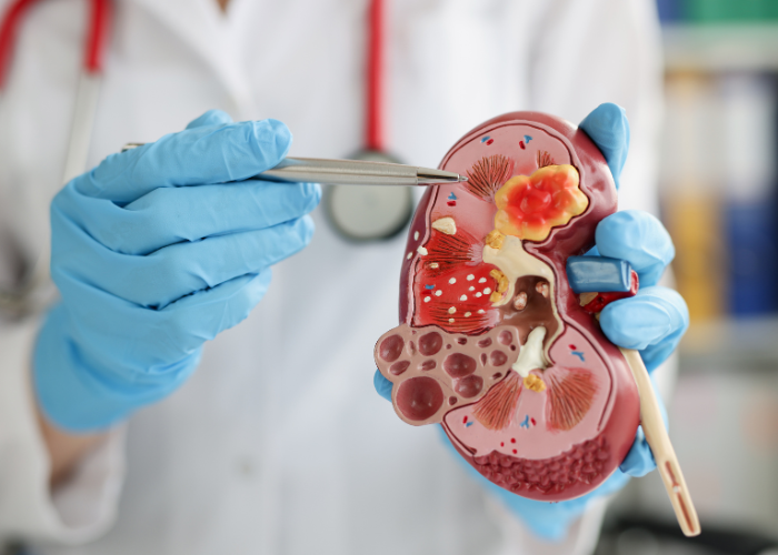 Imagem site Dra. Anastácio