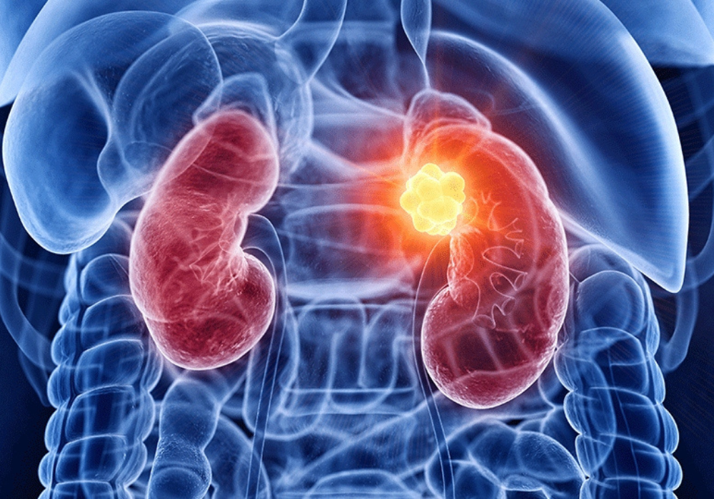 Imagem site Dra. Anastácio