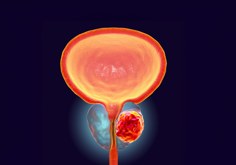 Imagem site Dra. Anastácio