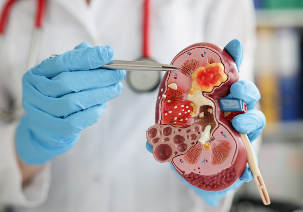 Imagem site Dra. Anastácio