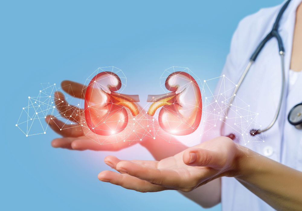 Imagem site Dra. Anastácio