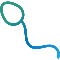 Imagem site Dra. Anastácio