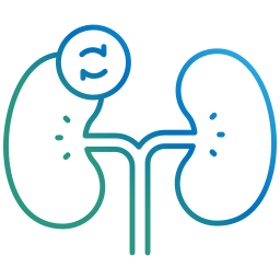 Imagem site Dra. Anastácio